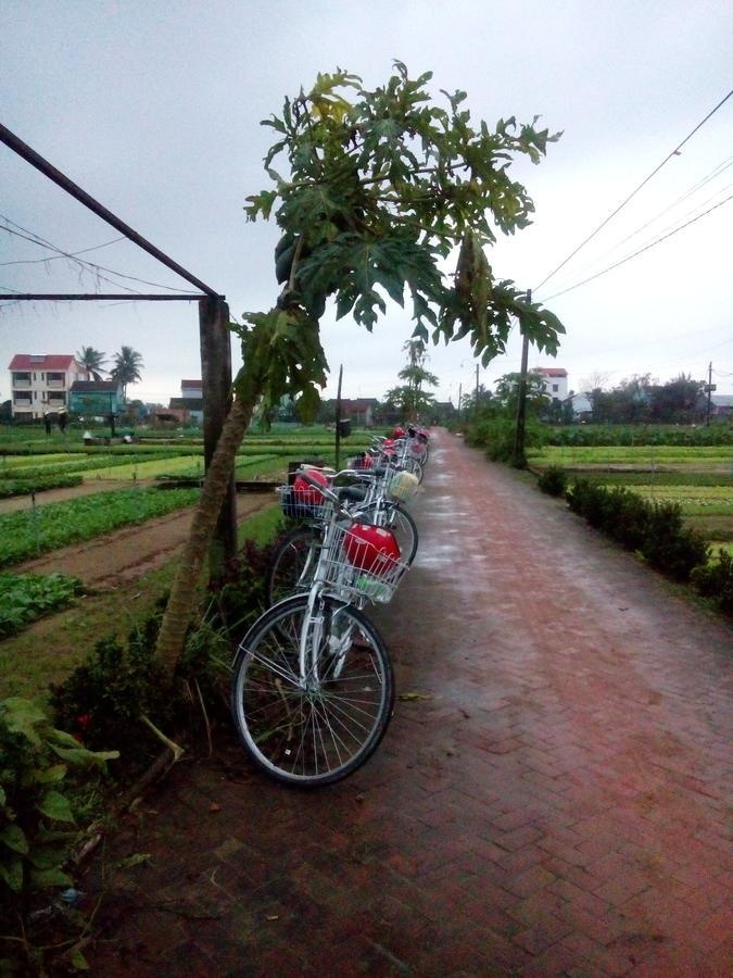 An Bang Beach Town Homestay Хой Ан Екстериор снимка